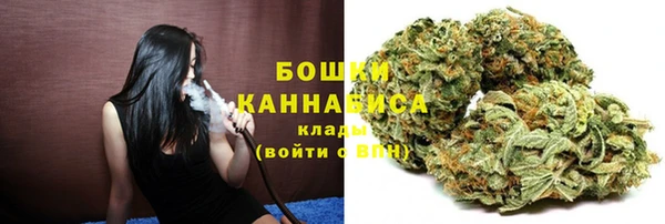 гидра Лиски
