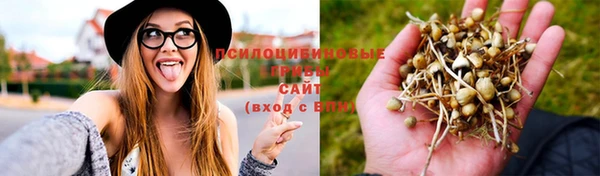 гидра Лиски