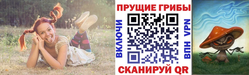 магазин продажи   Уссурийск  Галлюциногенные грибы MAGIC MUSHROOMS 